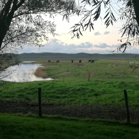 Zwaan's Place Holiday home