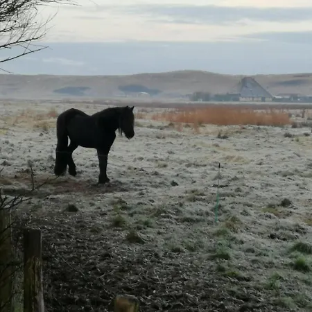 Zwaan's Place Callantsoog